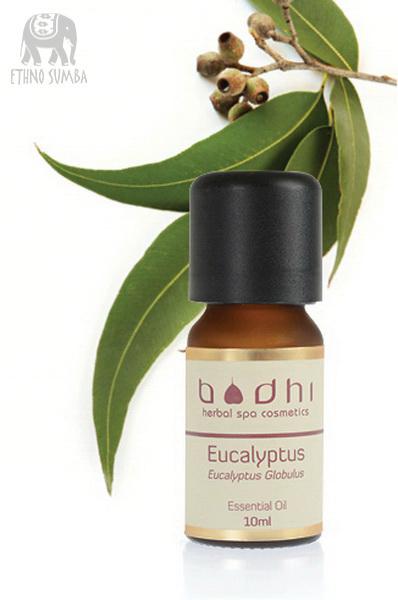Olej Eukalyptus